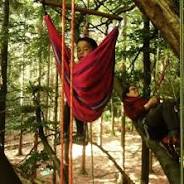 Découvrez l’aventure des arbres en arbres : une expérience unique dans les hauteurs