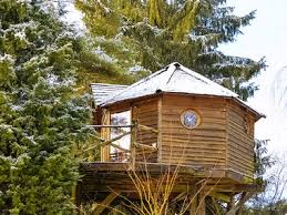 Découvrez l’Expérience Magique des Cabanes dans les Arbres en Belgique