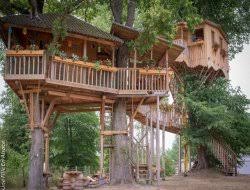 Découvrez l’expérience unique d’une cabane dans les arbres en Alsace