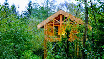 cabane dans les arbres nord