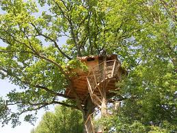 cabane dans les arbres normandie