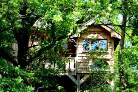 Expérience insolite : Dormir sous les étoiles dans les arbres de Belgique