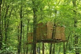 Expérience inoubliable : Dormir au cœur de la nature dans une cabane perchée