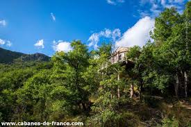 Découvrez l’Enchantement de la Cabane dans les Arbres