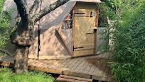Découvrez la Cabane dans les arbres 77 : Une Oasis de Sérénité en Pleine Nature