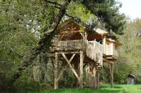 Découvrez l’Évasion Enchantée : Cabane dans les Arbres en Bretagne