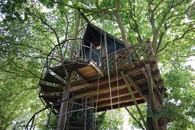 Découvrez l’expérience unique d’une cabane dans les arbres en Bretagne