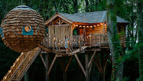 Découvrez l’expérience unique d’une cabane dans les arbres en Gironde