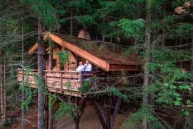 Découvrez l’Expérience Magique des Cabanes dans les Arbres en Suisse
