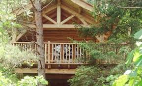 Découvrez l’Élégance des Cabanes de Luxe Perchées dans les Arbres