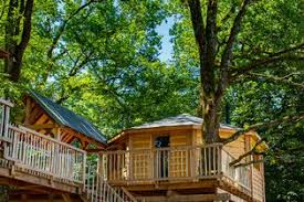 Expérience Insolite : Séjour dans les Cabanes Perchées au Cœur de la Nature
