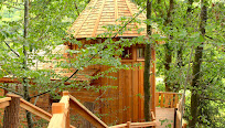Escapade Nature : Vivez l’Aventure du Camping Cabane dans les Arbres
