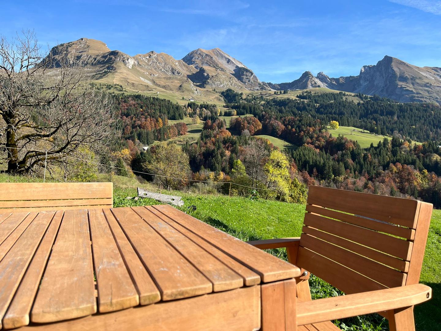 Location de Chalet en Montagne : Vivez l’Expérience Authentique