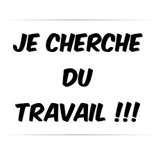 En quête de sens : Explorez les chemins de la recherche