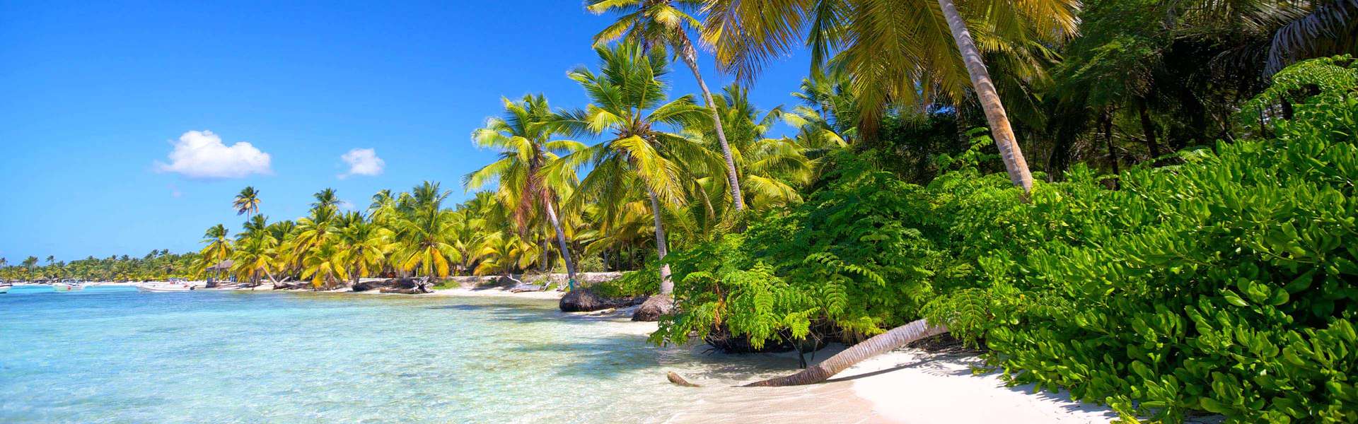 Vacances en République dominicaine : plages, soleil et découvertes caribéennes